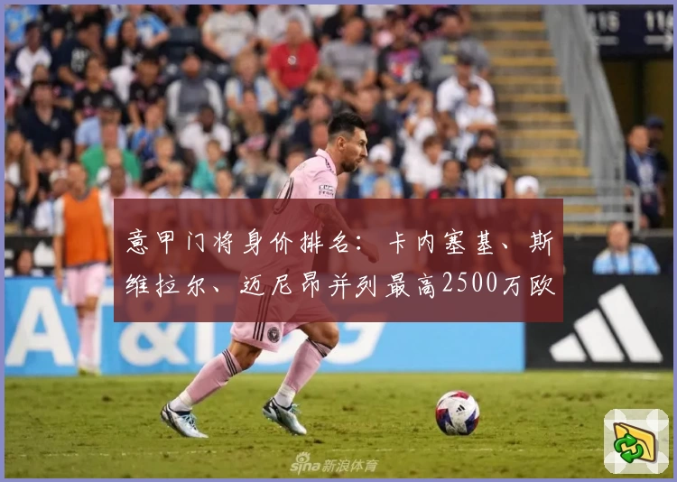 意甲门将身价排名：卡内塞基、斯维拉尔、迈尼昂并列最高2500万欧