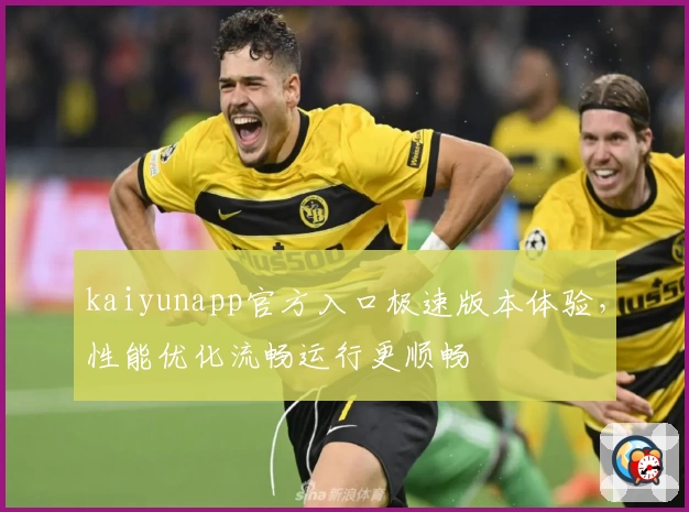 kaiyunapp官方入口极速版本体验，性能优化流畅运行更顺畅